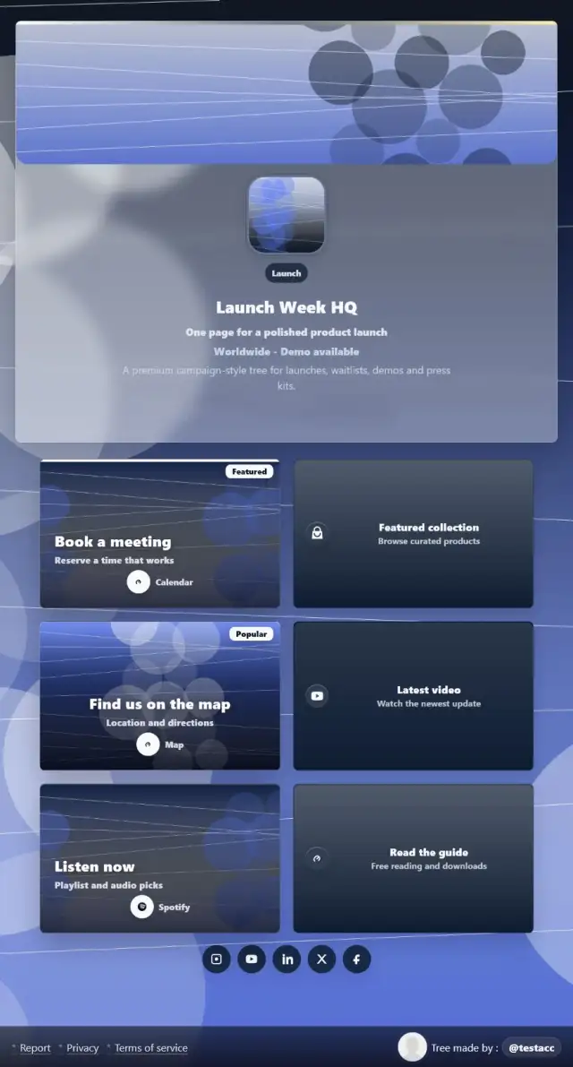 Product launch preview