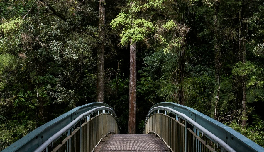 Nature-inspired cover artwork